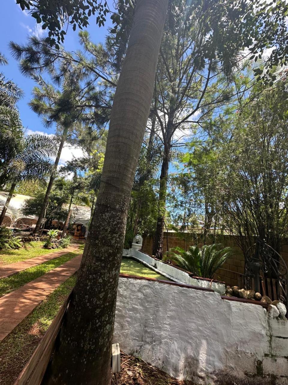 מלון פוסאדאס Quinta La Juliana מראה חיצוני תמונה